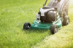 Lawn Mower