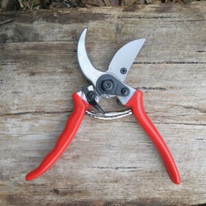 Secateurs