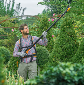 Long-Handled Pruners